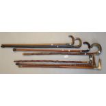 Group of assorted walking sticks, various: horn handles and others. (7) (B.P. 21% + VAT)