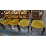 Pair of 19th century rosewood dining chairs, on serpentine seat and cabriole legs together with