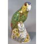 Royal Crown Derby bone china paperweight, 'Amazon Green Parrott', with COA and original box. (B.P.