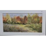 Sandra Phillips (Welsh 202th century), 'Changing Seasons', labeled verso. Oils on board. 29x60cm