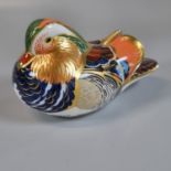Royal Crown Derby bone china paperweight, 'Sinclairs Bakewell Duckling' with box and stopper. (B.