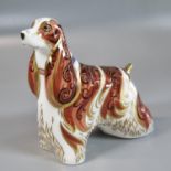 Royal Crown Derby bone china paperweight 'American Spaniel' with gold stopper and original box. (B.