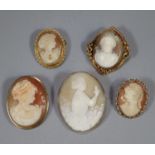 Collection of five gold cameo brooches. (5) (B.P. 21% + VAT)