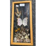 Cased display of mounted butterflies, marked 'Bryher, Derby' to the reverse. 30 x 13cm approx. (B.P.