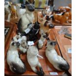Tray of ceramic cat figures to include: various Beswick Siamese and other cats, Royal Doulton