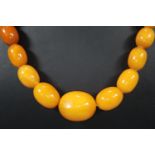 Amber Butterscotch necklace. 59g approx. The largest bead 2.5cm long approx. (B.P. 21% + VAT)