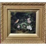 C White (British 19th century), birds nest with mother and chicks amongst flowers, signed date '