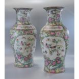 Pair of large Chinese Canton style Famille Rose baluster vases decorated with panels of birds,