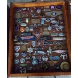 A good glazed case containing a collection of assorted British vehicle badges, various, enamel and