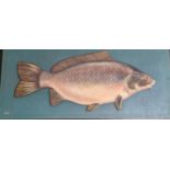 Perter Burden (contemporary, born 1948), 'Carp', a naturalistic painted relief mounted on board.