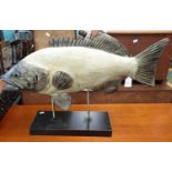 Modern model study of a Grouper fish on twin pedestal and rectangular base. (B.P. 21% + VAT)