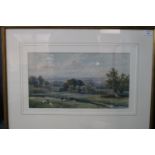 A Coleman (British 19th century), pastoral English landscape with cattle, signed. watercolours.