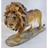 Large modern ceramic study of a male lion, overall 47cm long approx. (B.P. 21% + VAT)