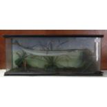 Taxidermy - cased specimen study of a Needle or Gar fish, amongst reeds and foliage. Case overall