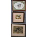 Group of three coloured prints featuring Staffordshire Bull Terriers and Bulldogs including a signed