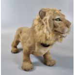 'Fairylite Beautyware' model of male lion with weighted moving head. 28.5cm long approx. (B.P. 21% +