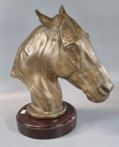 Good quality heavy bronze horse head with naturalistic features on a circular wooden mahogany