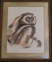 Attributed to John Skeaping, study of a gibbon, pastels. 36 x 28cm approx. Framed and glazed. (B.