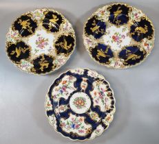 Pair of 19th century continental porcelain cabinet plates decorated with reserve panels of flowers