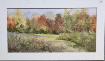 Sandra Phillips (Welsh 20th century), 'Changing Seasons', oils on board. 30x60cm approx. Framed. (