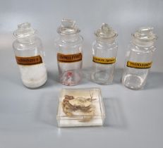 Set of four clear glass apothecary jars and stopper with labels to include: Santoninum together with