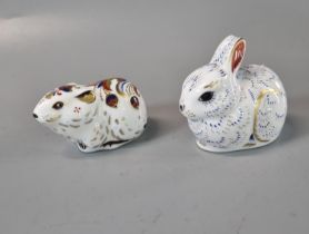 Two Royal Crown Derby Collector's Guild bone china paperweights in the form of a bank vole and