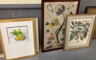 Group of assorted furnishing pictures, to include: botanical print,pair of still life