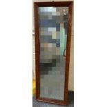 19th century mahogany framed rectangular pier glass mirror. The plate 133x38cm approx. (B.P. 21% +