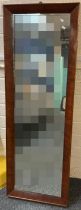 19th century mahogany framed rectangular pier glass mirror. The plate 133x38cm approx. (B.P. 21% +