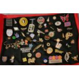 Collection vintage brooches and pin badges to include: Mod Guard Service, WRVS Volunteer, animals,