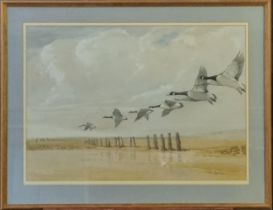 Ruben Ward Binks (British 1880-1950), Canada Geese over sandy beach and groyne, signed.