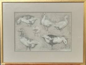 Ralph Todd (British 1856-1932), 'No. 18, study of geese'. Pencil sketch. Fosse Gallery exhibition