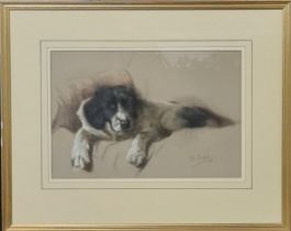 Peter Biegel (British 1913-1987), Dog study, signed and dated '47. Pastels. 27x41cm approx. Framed