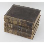 Three leather bound volumes of Greek Language Dictionaries
