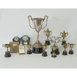 A collection of trophies