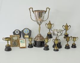A collection of trophies