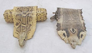 Two snake skins