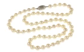 Perlenkette mit Verschluss 65.32g 750/- Weissgold. Laenge ca. 69 cm