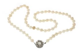 Perlenkette mit Goldverschluss 53.84g 585/- Weissgold. Laenge ca. 60 cm