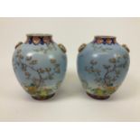 Pair of Hand Painted Vases