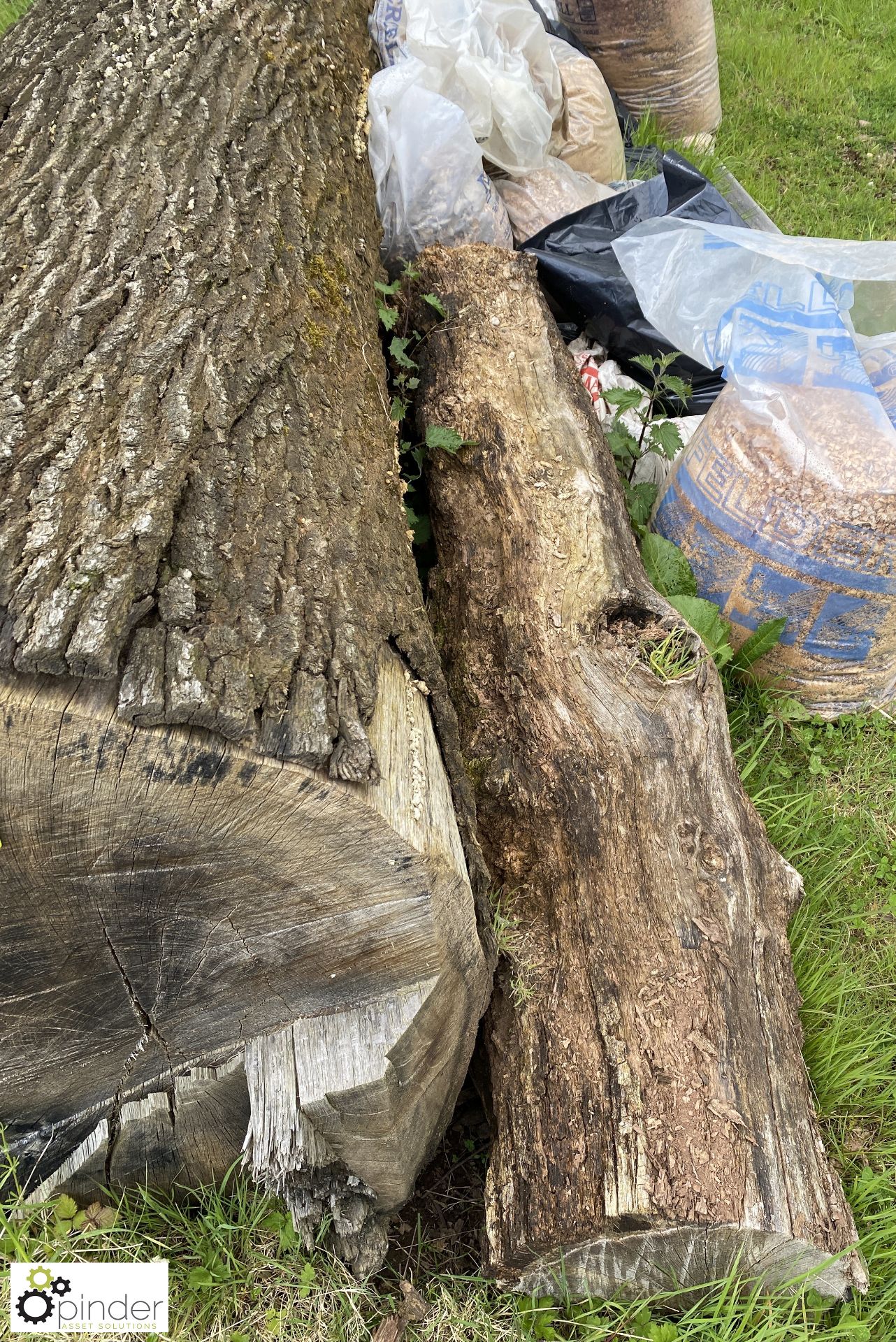 Cylindrical Oak Log, 4450mm x 820mm diameter x 800mm diameter - Image 3 of 8