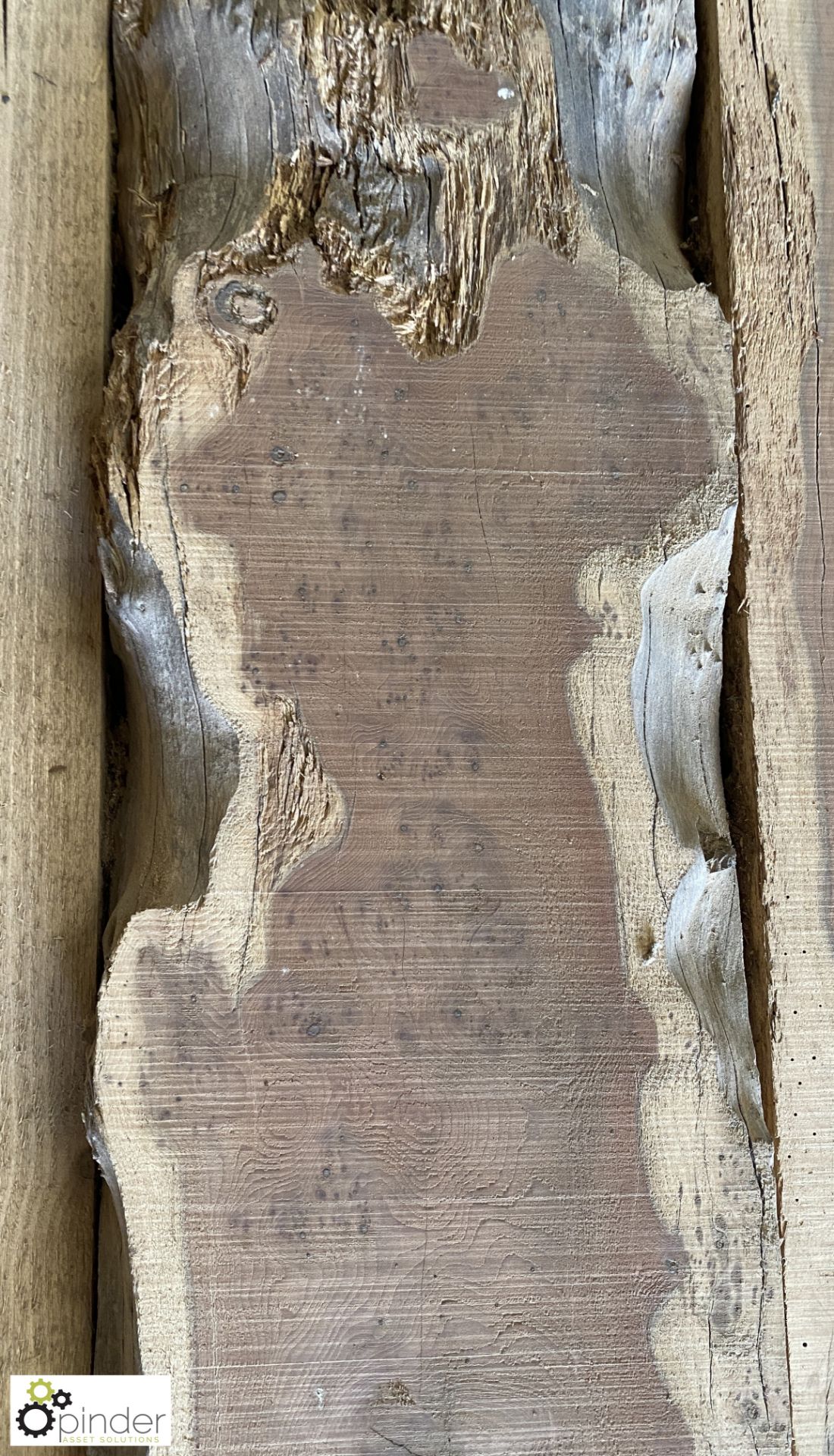 Air dried Yew Beam, 4700mm x 250mm x 235mm - Image 6 of 12