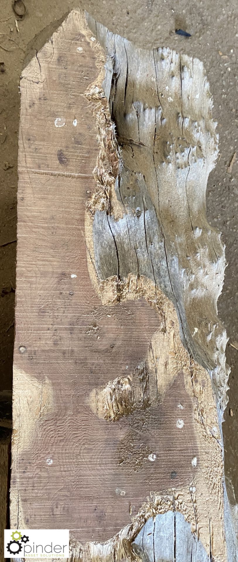 Air dried Yew Beam, 4700mm x 250mm x 235mm - Image 10 of 12