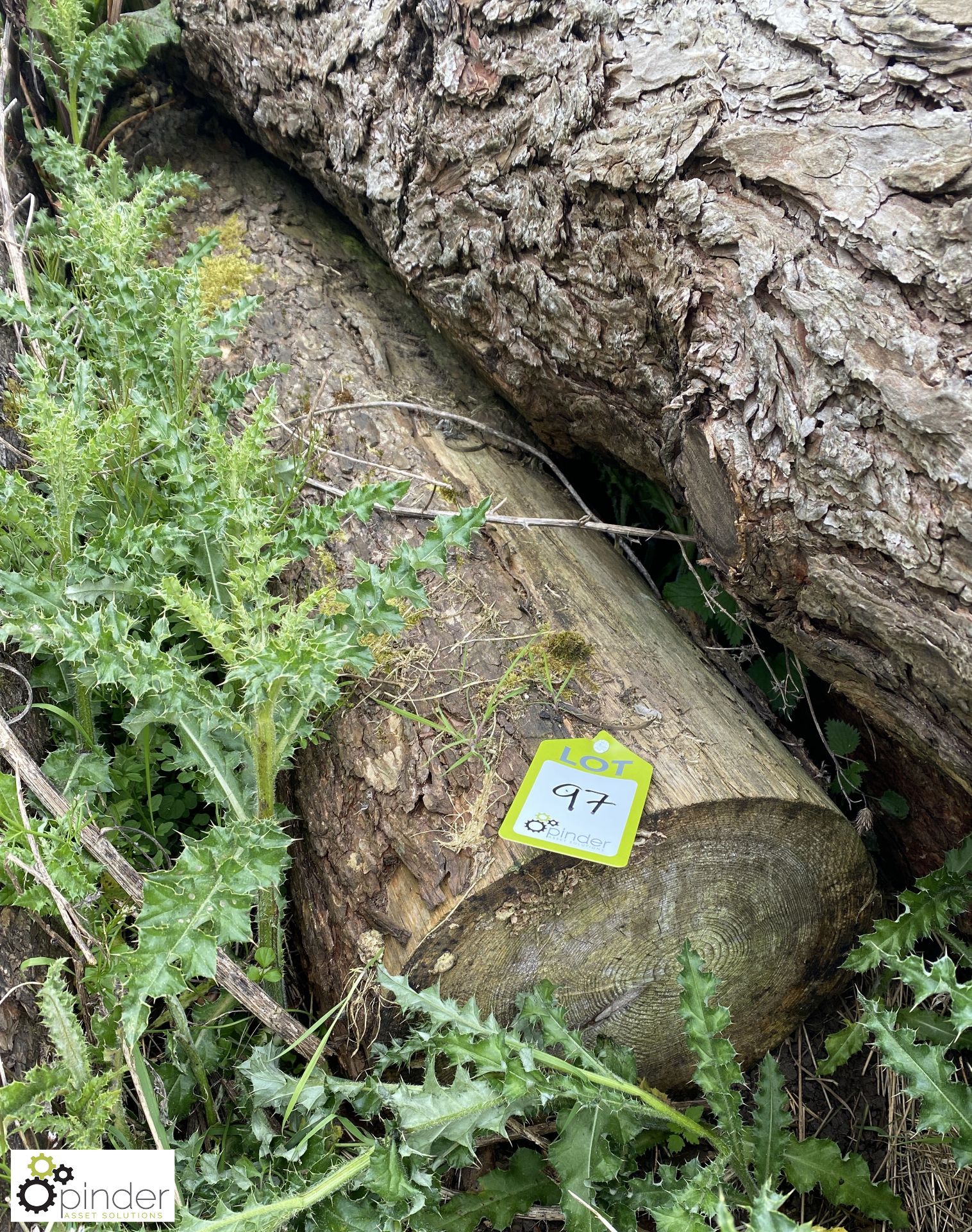 Softwood Log, approx. 10000mm x 250mm diameter