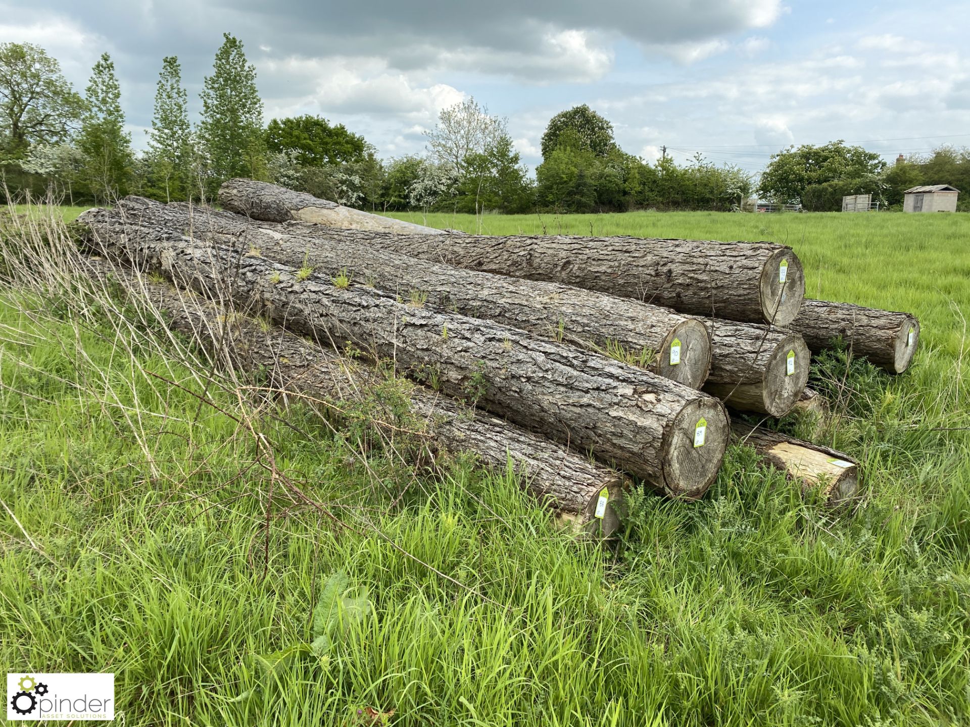 Softwood Log, approx. 10000mm x 400mm diameter - Image 3 of 4