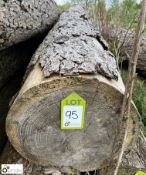 Softwood Log, approx. 10000mm x 420mm diameter