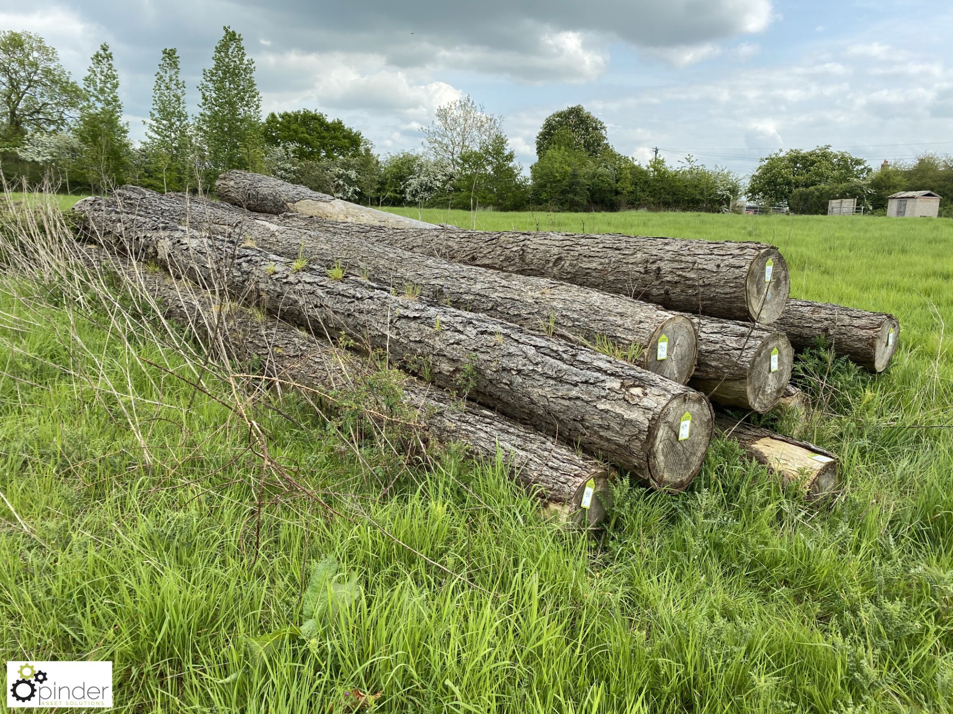 Softwood Log, approx. 10000mm x 420mm diameter - Image 3 of 4