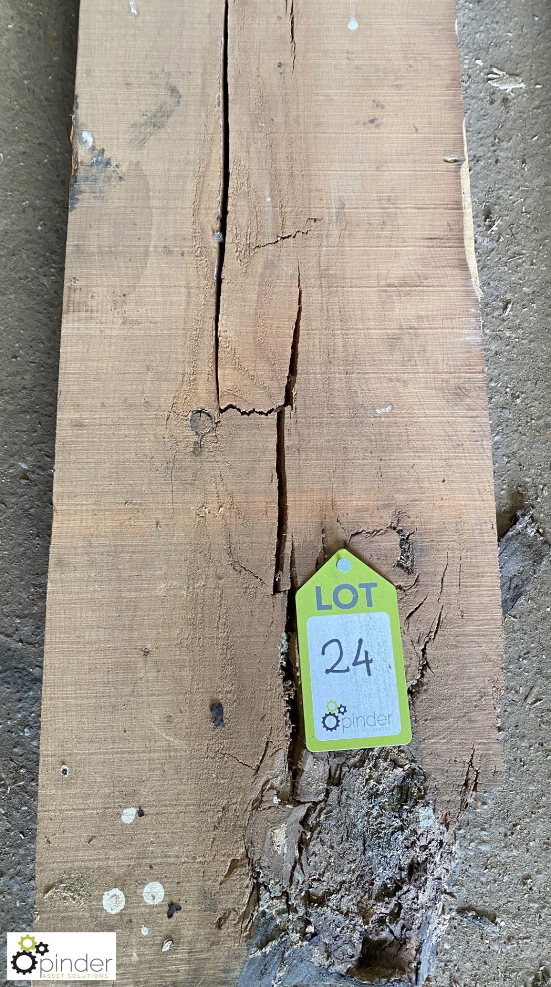 Air dried Yew Board, 2530mm x 285mm x 100mm - Image 3 of 7