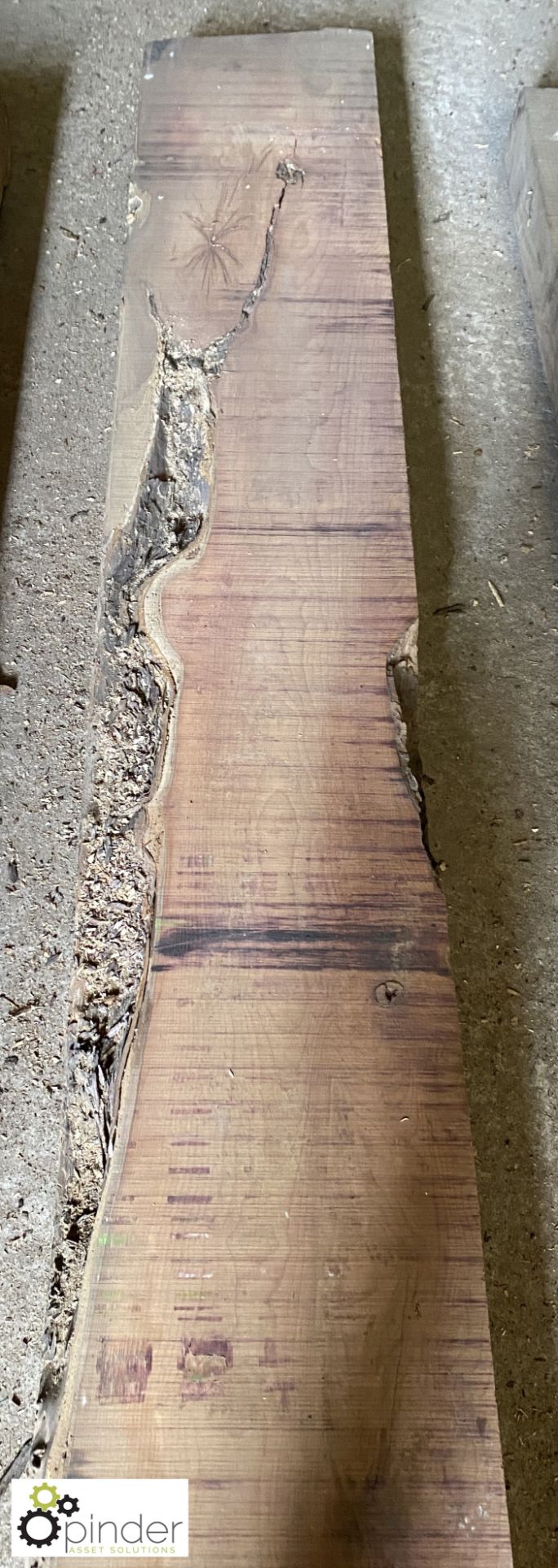 Air dried Yew Board, 2650mm x 280mm x 105mm - Image 4 of 6