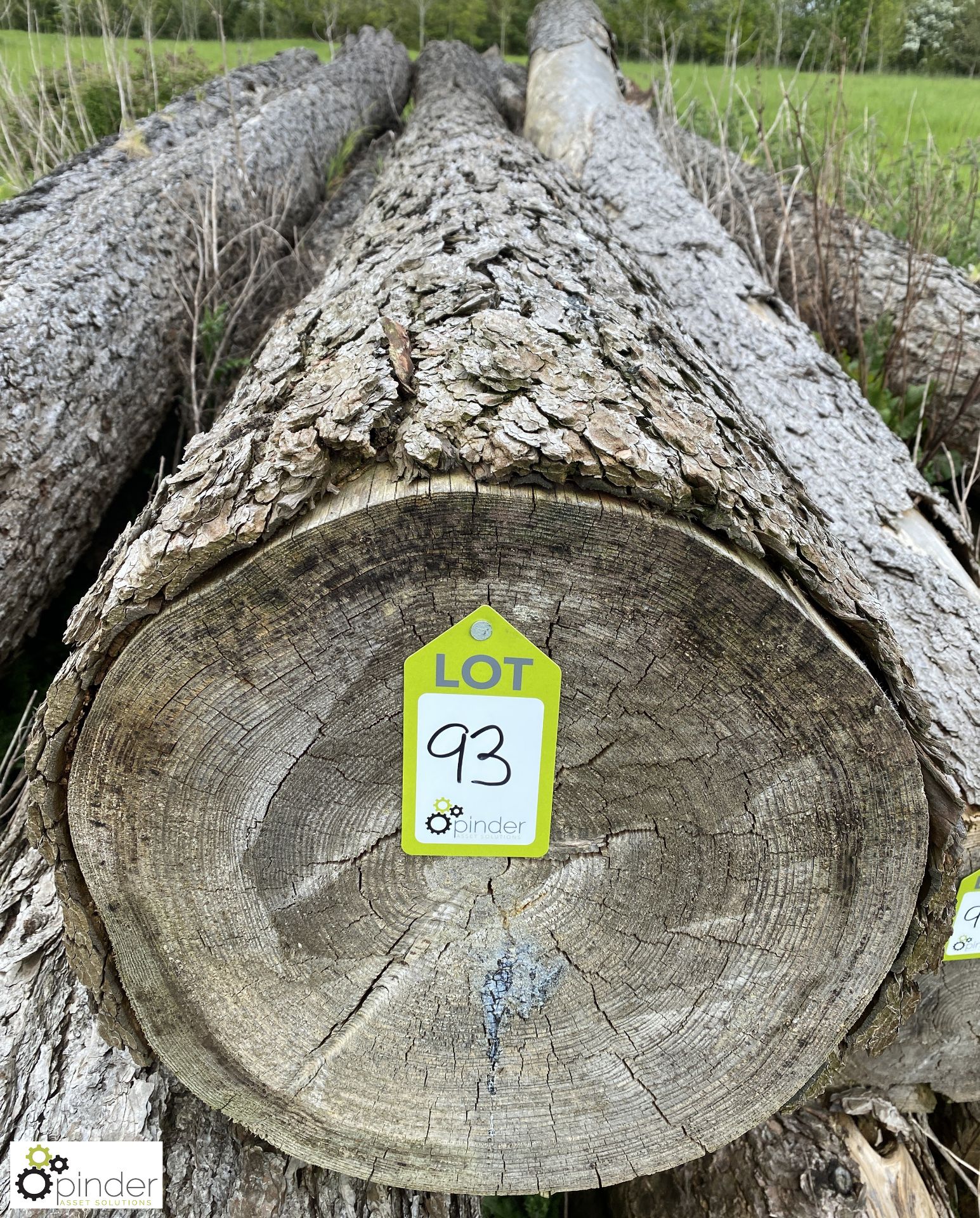 Softwood Log, approx. 10000mm x 420mm diameter